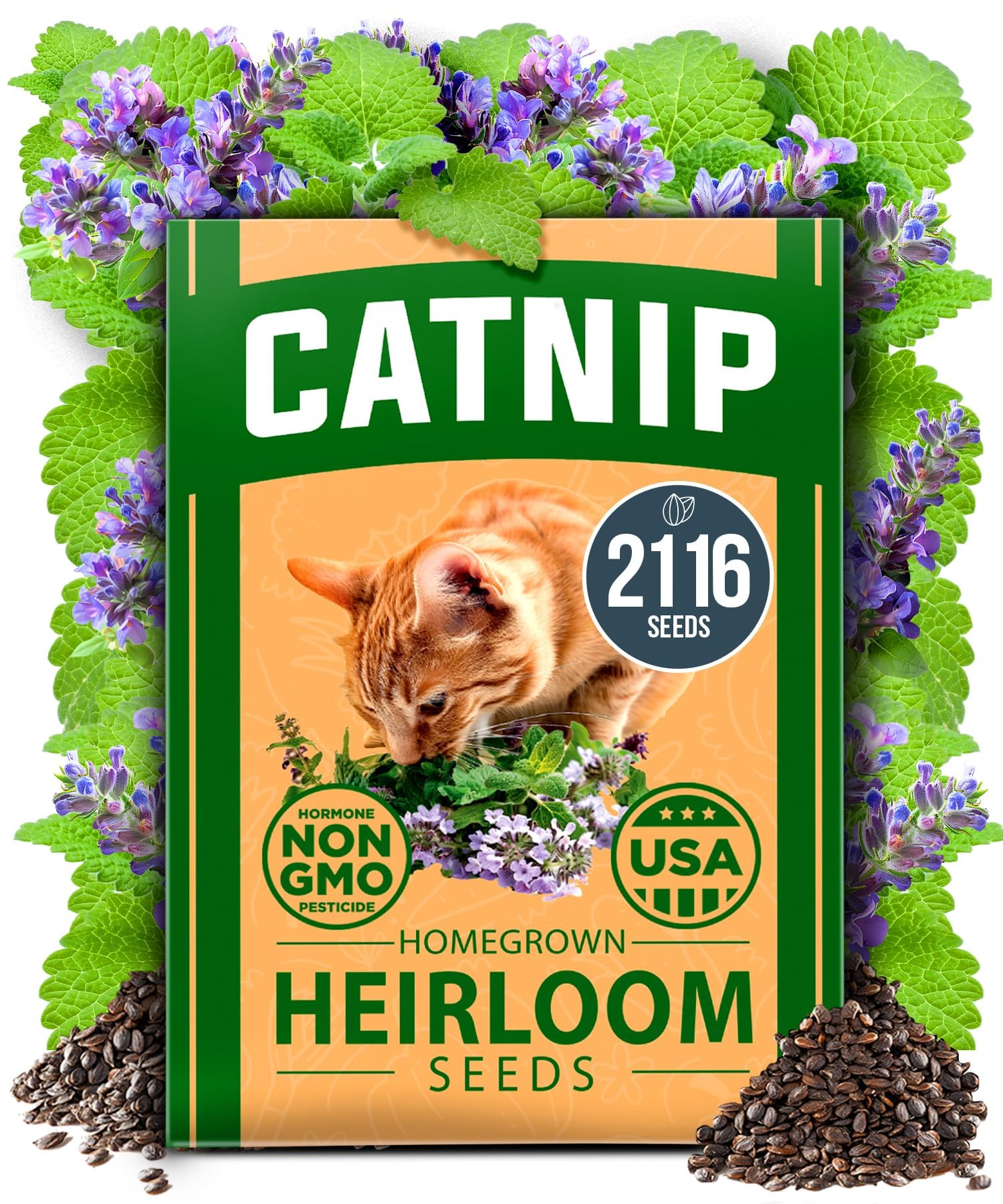 HOME GROWN Non GMO English Lavender Seeds 1,500+ Wildflower Seed for Planting Indoor/Outdoor, High Germination, Plant Flower Seeds (Lavandula antustifolia)